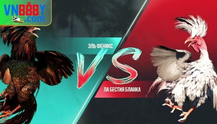 Game đá gà online