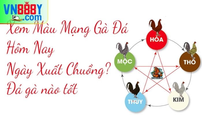 Xem ngày đá gà chuẩn nhất